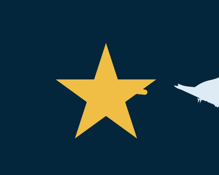 Understanding Europe in 100 seconds: